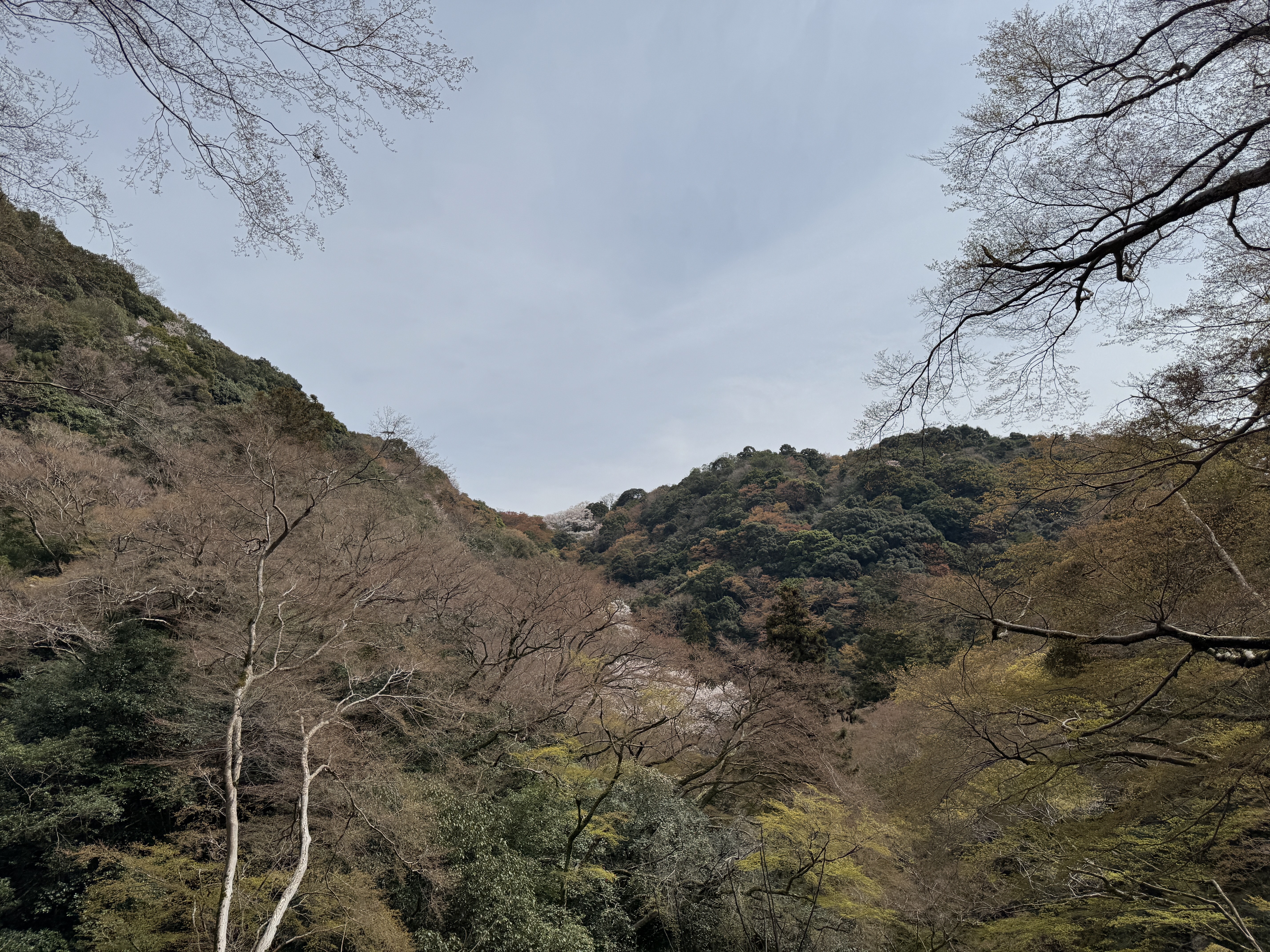 6週目のサムネイル